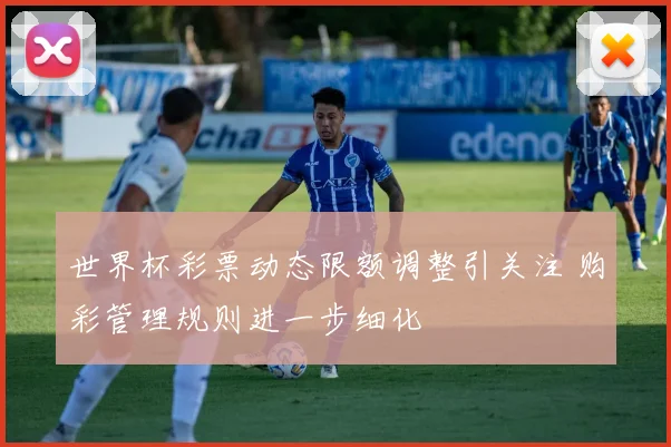 世界杯彩票动态限额调整引关注 购彩管理规则进一步细化