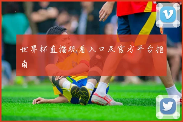 世界杯直播观看入口及官方平台指南