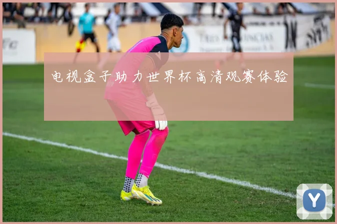 电视盒子助力世界杯高清观赛体验