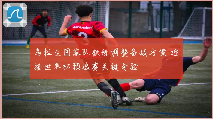 乌拉圭国家队教练调整备战方案 迎接世界杯预选赛关键考验