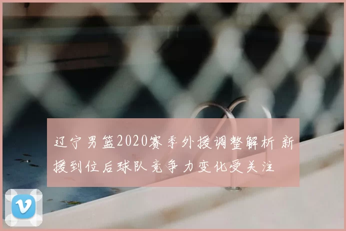 辽宁男篮2020赛季外援调整解析 新援到位后球队竞争力变化受关注