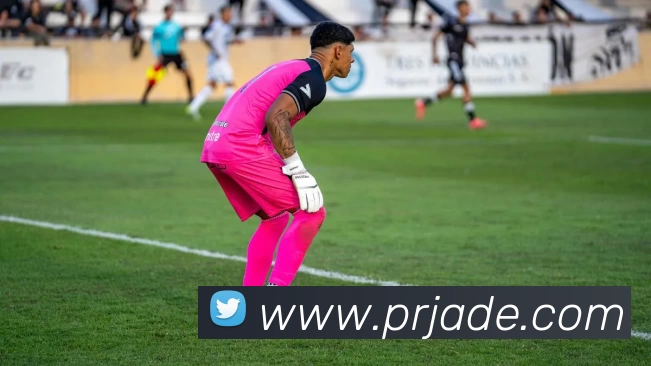 MK官方端网站登录入口 - MK(中国)APP 封面图